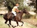 1984 BRC Horse Trials Championships